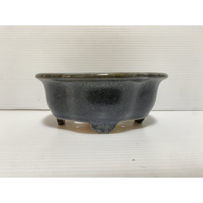 画像2: No.DA5453 黎鳳