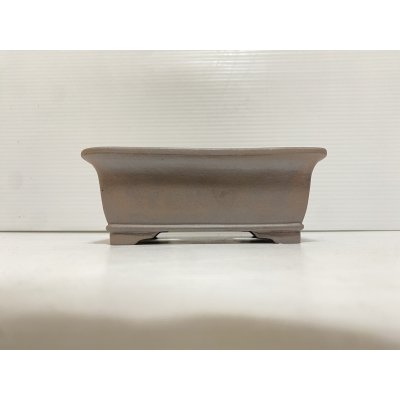 画像2: No.DA5460 黎鳳