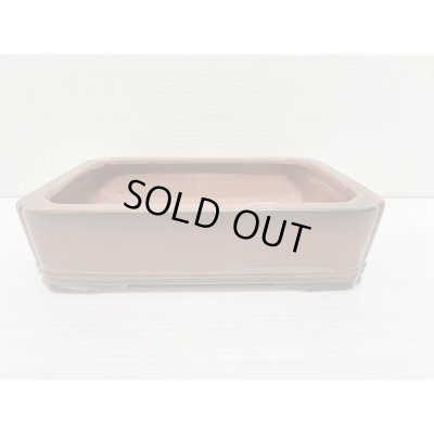 画像1: No.DA5461 美芸