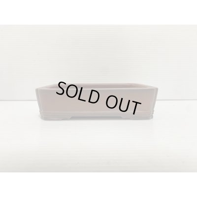 画像2: No.DA5461 美芸