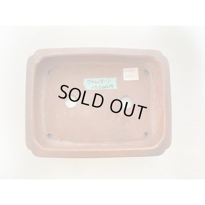 画像3: No.DA5461 美芸