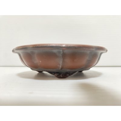 画像2: No.DA5464 美芸