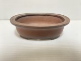 No.DA5471 美芸