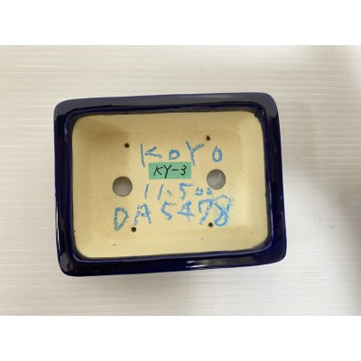 画像3: No.DA5478 鴻陽