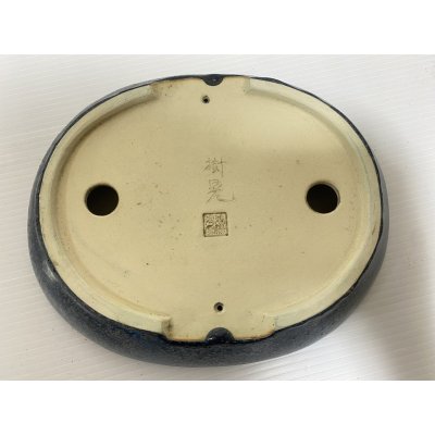 画像4: No.DA5485 鴻陽