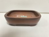 No.DA54111 美芸