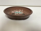 No.DA54114 美芸