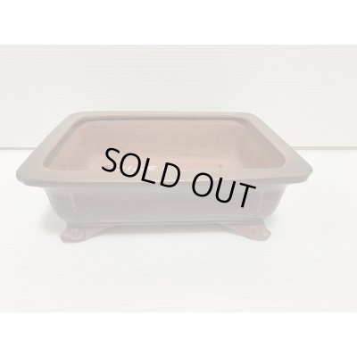 画像1: No.DA54115 美芸