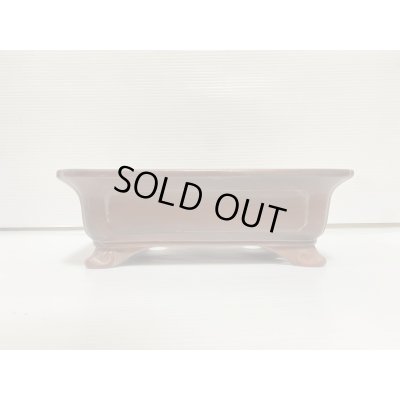 画像2: No.DA54115 美芸