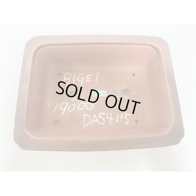 画像3: No.DA54115 美芸