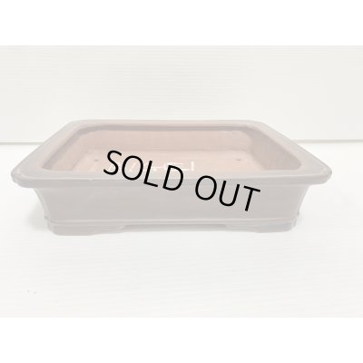 画像1: No.DA54116 美芸