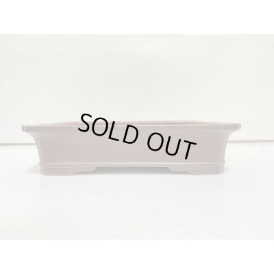 画像2: No.DA54116 美芸