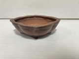 No.DA54117 美芸