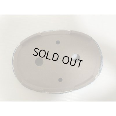 画像5: DA4807  陶翠