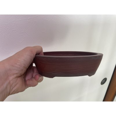 画像2: No.MA4129  美芸 5号小判木目