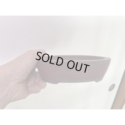 画像2: No.MA4129  美芸 5号小判木目