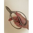 画像3: No.8501 <br>白染め庭木手入れ用鋏 (3)