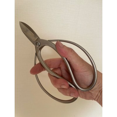 画像3: No.8501  白染め庭木手入れ用鋏