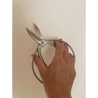 画像5: No.8501  白染め庭木手入れ用鋏