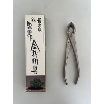 画像1: No.8116  白染め又枝切(小)