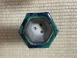 No.FA4503 福田　茂
