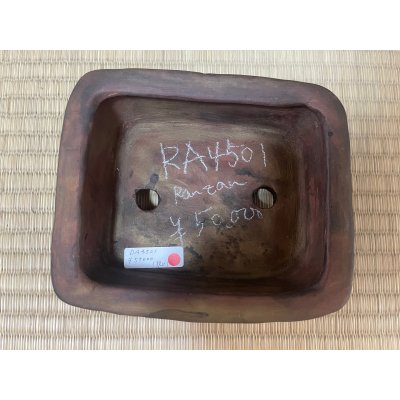 画像1: No.RA4501 嵐山