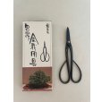 画像1: No.0302 <br>別誂長柄剪定鋏(受注生産品)* (1)