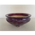 画像1: No.FA5601<br>福田　茂 (1)