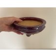 画像4: No.FA5601<br>福田　茂 (4)
