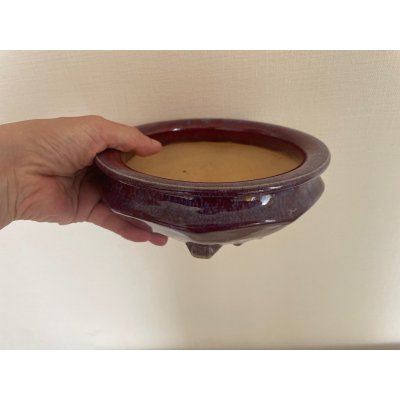 画像4: No.FA5601 福田　茂