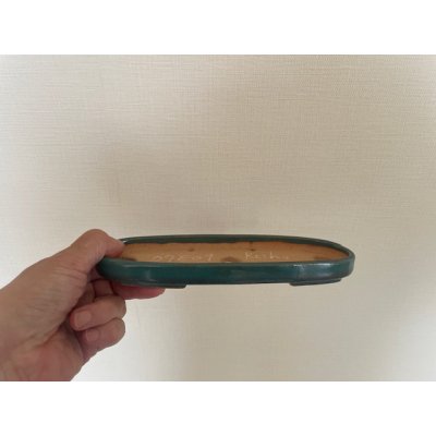 画像1: No.KA5604 黎鳳