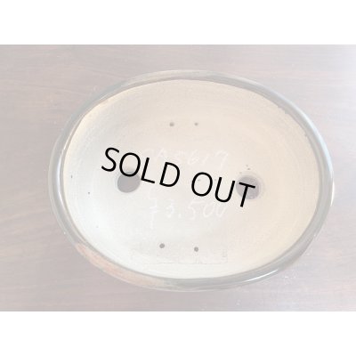 画像1: SA5617  里美