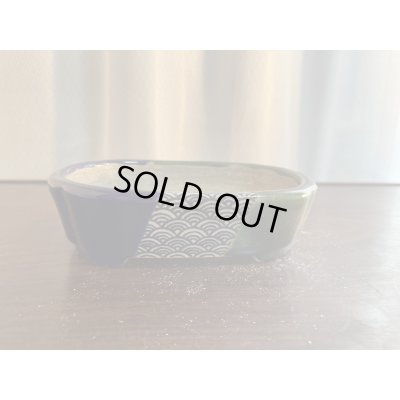 画像1: SA5623  里美