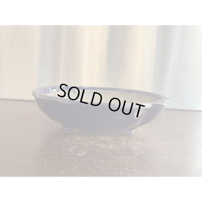 画像1: SA5626  里美