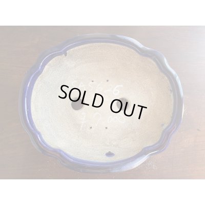 画像2: SA5626  里美