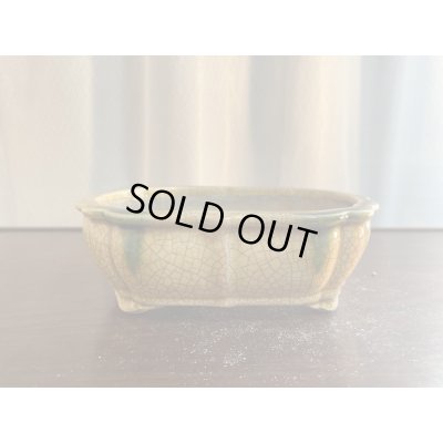 画像1: SA5629  里美