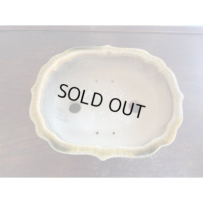 画像2: SA5629  里美