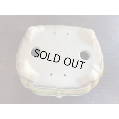 画像3: SA5629  里美