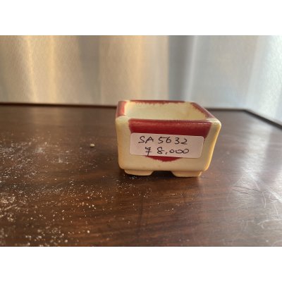 画像1: SA5632  里美