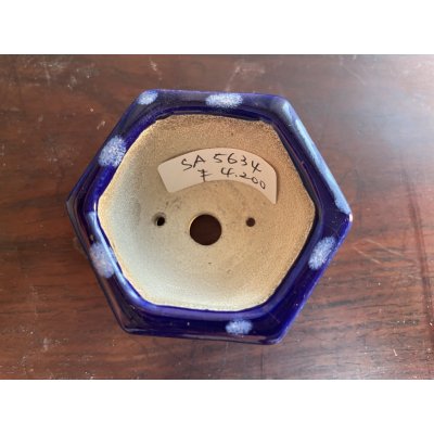 画像2: SA5634  里美