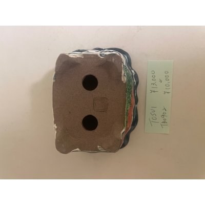画像4: No.TB0902 陶酔　盆栽鉢