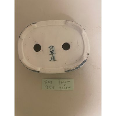 画像4: No.TB0903 陶酔　盆栽鉢