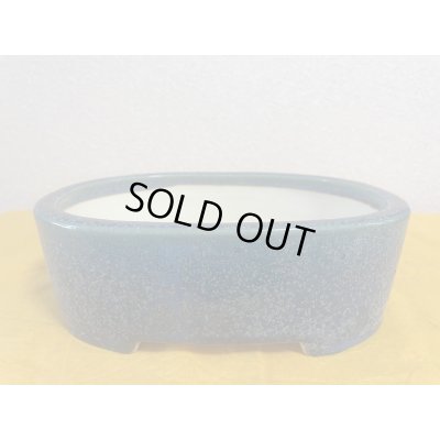 画像1: No.SA5903 黎鳳