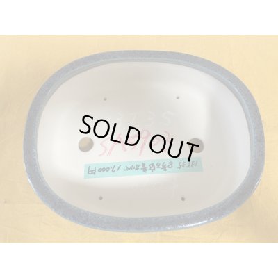 画像2: No.SA5903 黎鳳