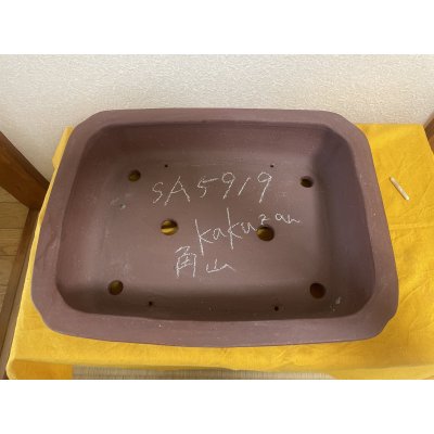画像2: No.SA5919 角山