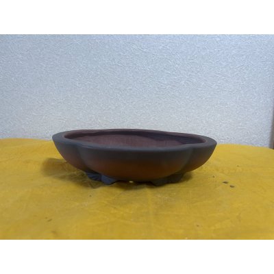 画像1: No.SA5920 美芸