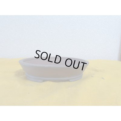 画像1: No.SA5921 美芸