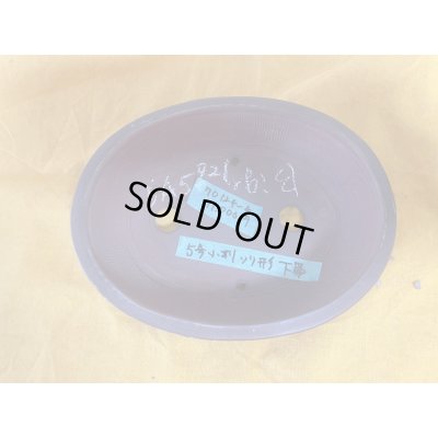 画像2: No.SA5921 美芸