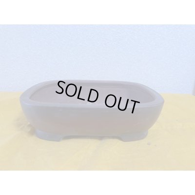 画像1: No.SA5923 美芸