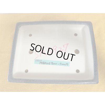 画像2: No.SA5927 鴻陽